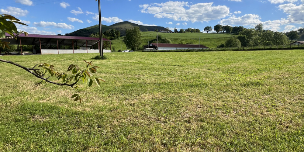 fond de commerce à IHOLDY (64640)
